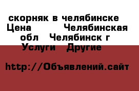 скорняк в челябинске › Цена ­ 500 - Челябинская обл., Челябинск г. Услуги » Другие   